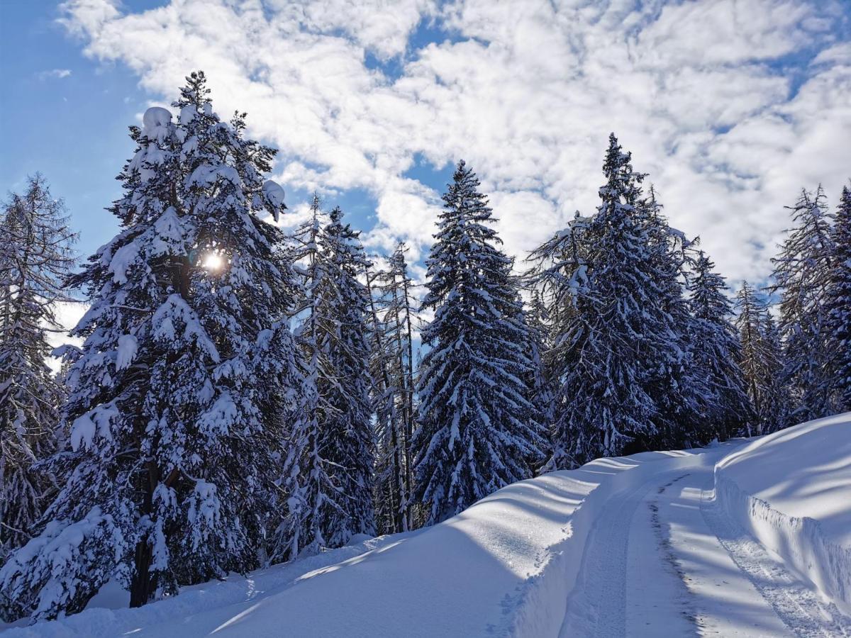 Ferienhäuser Tröster Bad Kleinkirchheim Exteriör bild