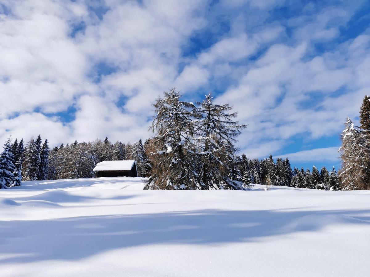 Ferienhäuser Tröster Bad Kleinkirchheim Exteriör bild