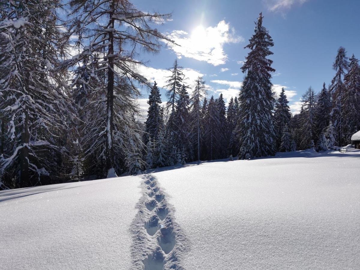 Ferienhäuser Tröster Bad Kleinkirchheim Exteriör bild
