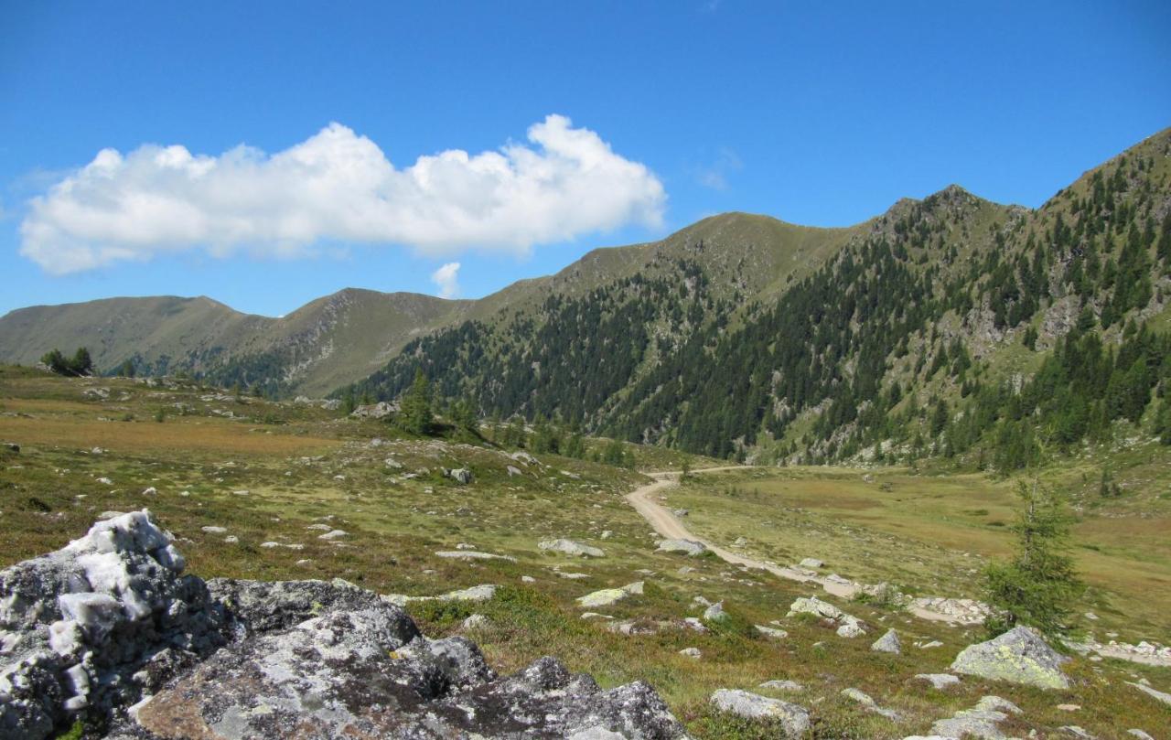 Ferienhäuser Tröster Bad Kleinkirchheim Exteriör bild