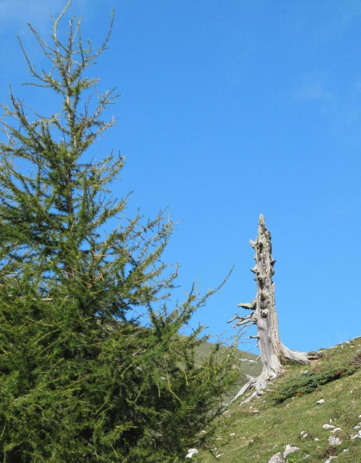 Ferienhäuser Tröster Bad Kleinkirchheim Exteriör bild