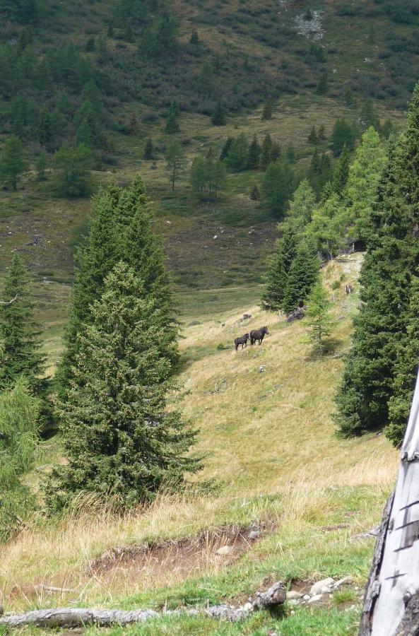 Ferienhäuser Tröster Bad Kleinkirchheim Exteriör bild