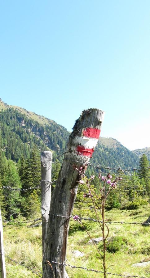 Ferienhäuser Tröster Bad Kleinkirchheim Exteriör bild