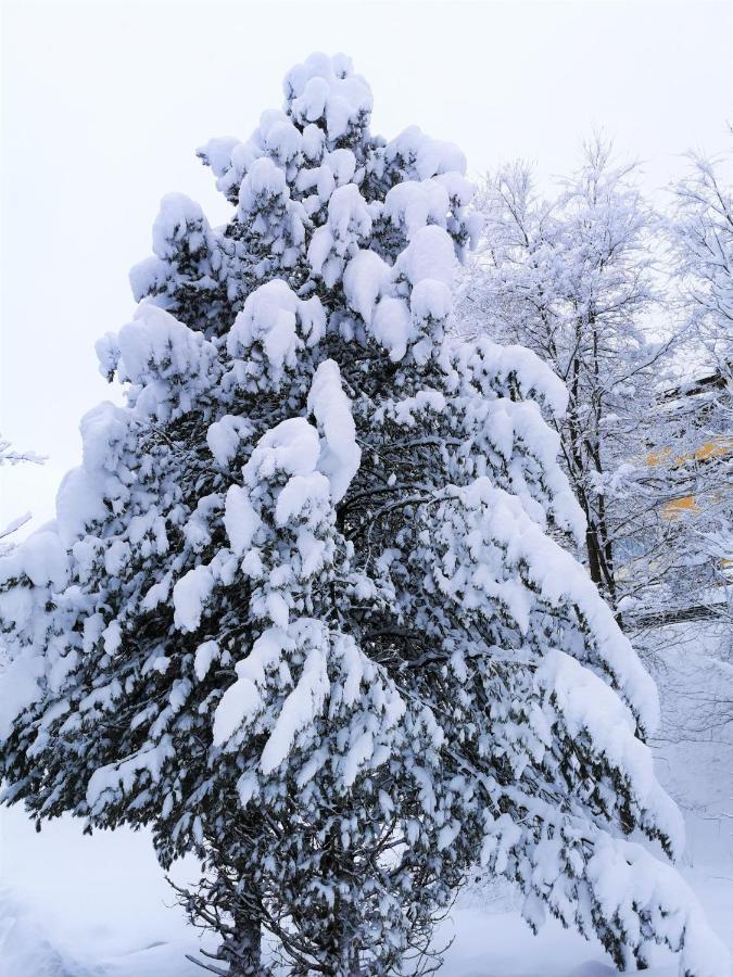 Ferienhäuser Tröster Bad Kleinkirchheim Exteriör bild