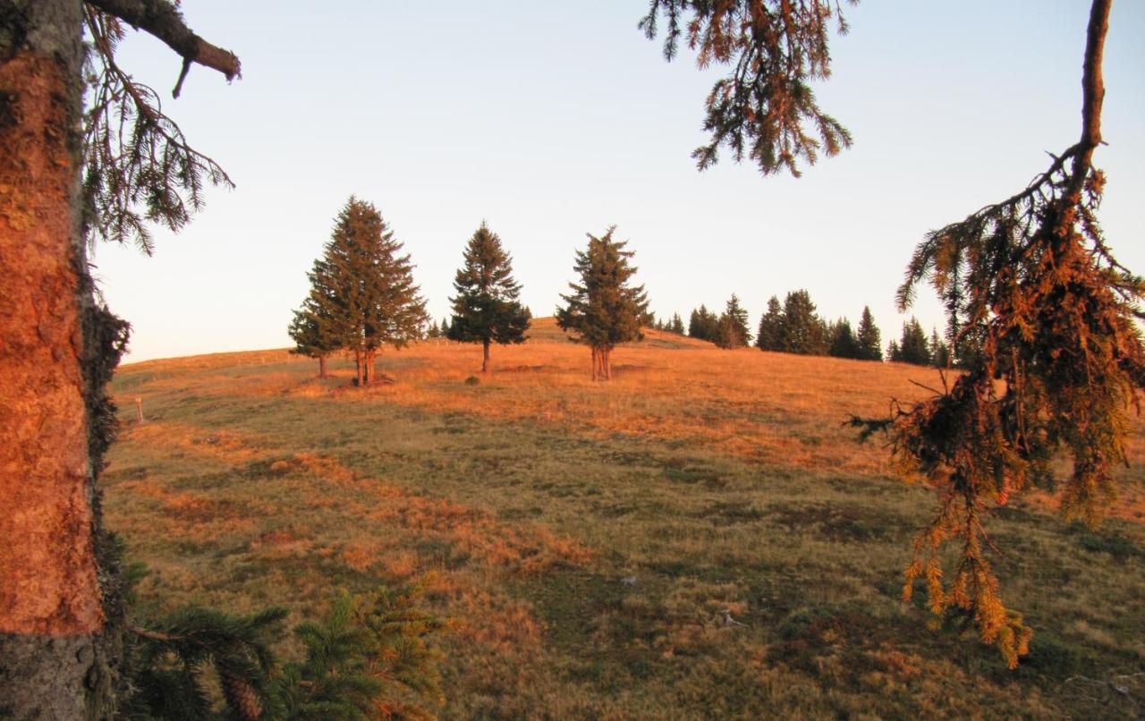 Ferienhäuser Tröster Bad Kleinkirchheim Exteriör bild