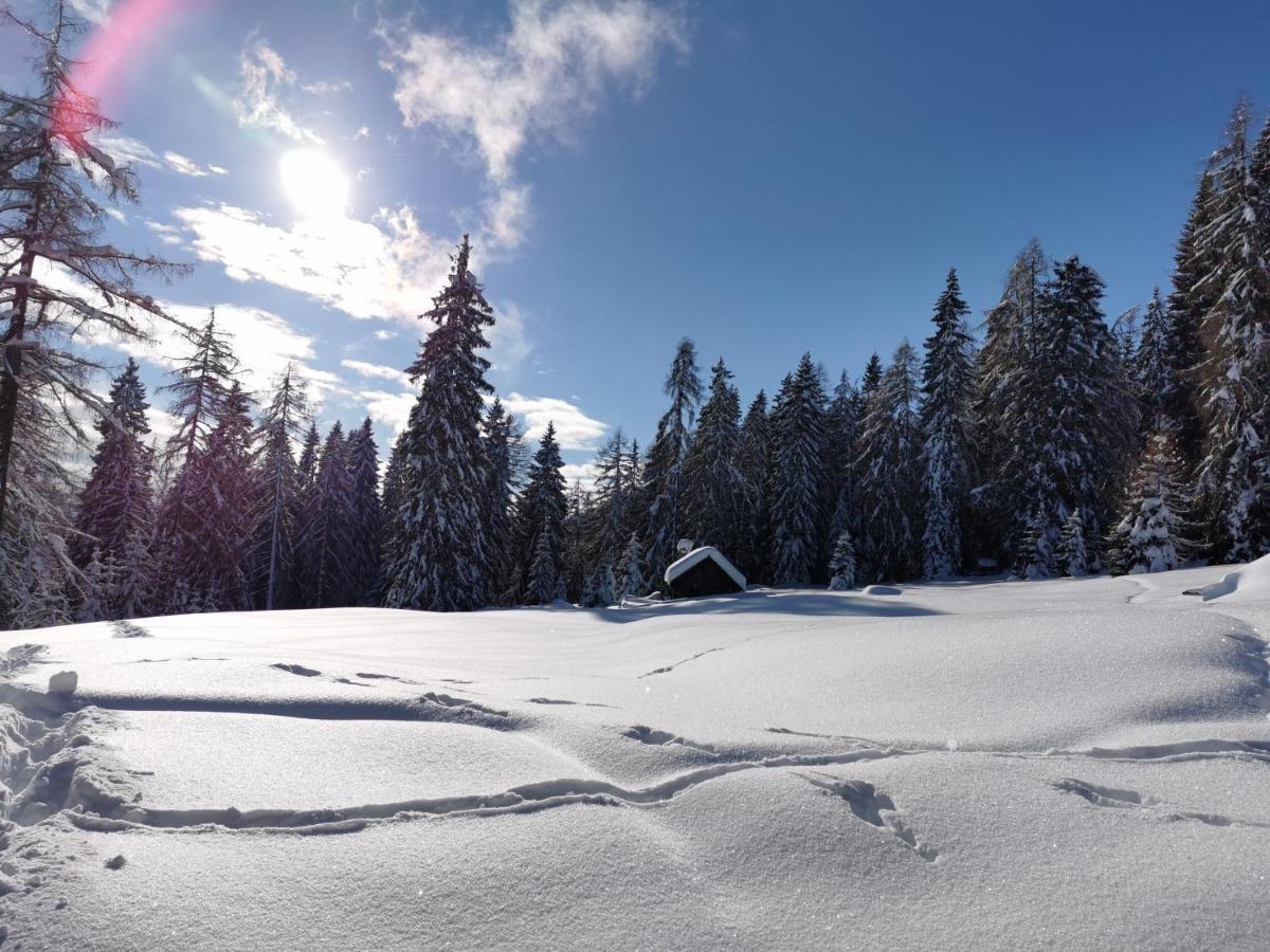 Ferienhäuser Tröster Bad Kleinkirchheim Exteriör bild