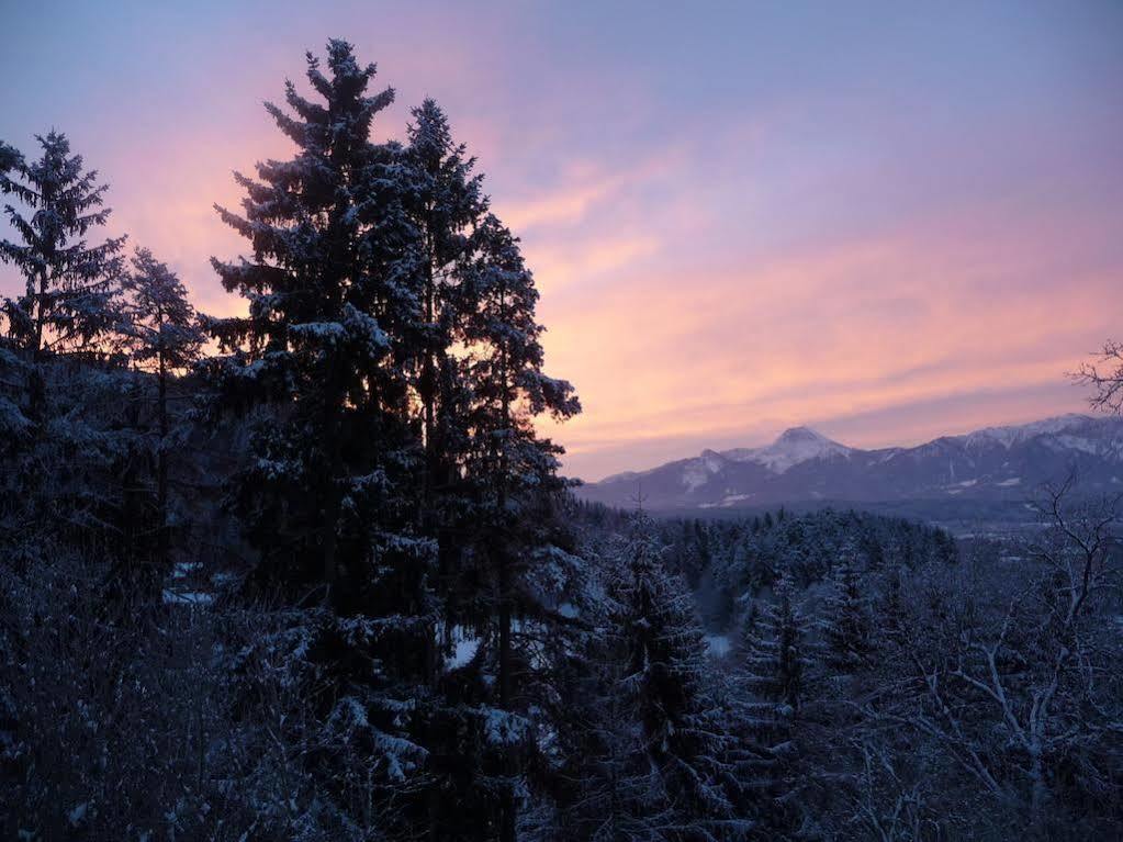 Ferienhäuser Tröster Bad Kleinkirchheim Exteriör bild